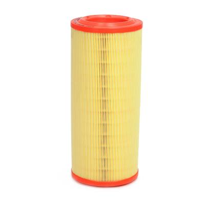 12104-LF-PCS-MS - AIR FILTER