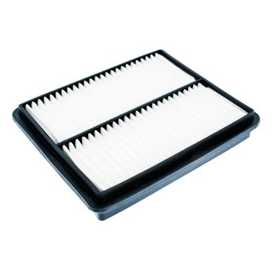 2537/1-LF-PCS-MS - AIR FILTER