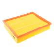 29198-LF-PCS-MS - AIR FILTER