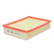 29198-LF-PCS-MS - AIR FILTER