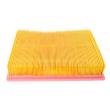 26109-LF-PCS-MS - AIR FILTER