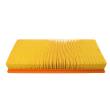 38163/1-LF-PCS-MS - AIR FILTER