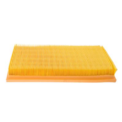 2974-LF-PCS-MS - AIR FILTER