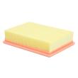 25114-LF-PCS-MS - AIR FILTER