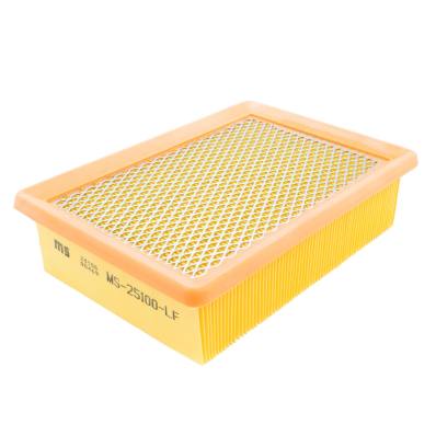 25100-LF-PCS-MS - AIR FILTER