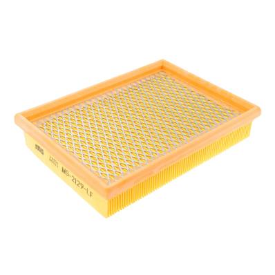2129-LF-PCS-MS - AIR FILTER