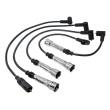 561B-ZW-LPG-SET-MS - Ignition Cable Kit