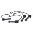 1612-ZW-LPG-SET-MS - Ignition Cable Kit