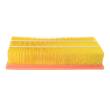 32120-LF-PCS-MS - AIR FILTER