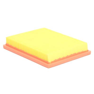 2256-LF-PCS-MS - AIR FILTER