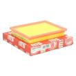 2256-LF-PCS-MS - AIR FILTER