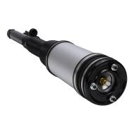 179980031-PCS-MS - AIR STRUTS