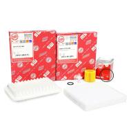 450001252 - FILTER SET