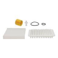 450001252 - FILTER SET