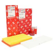 450001312 - FILTER SET