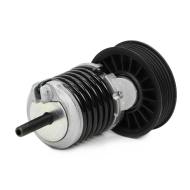 N31034-PCS-MS - BEARING