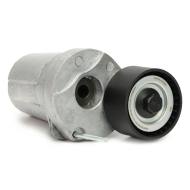 N38339-PCS-MS - BEARING