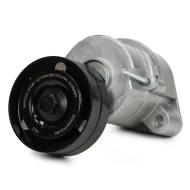 N35008-PCS-MS - BEARING