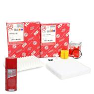 450001252P - FILTER SET