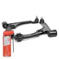 36977/3-KIT-MSP - CONTROL ARM KIT