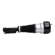 179980051-PCS-MS - AIR STRUTS