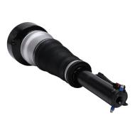 179980051-PCS-MS - AIR STRUTS