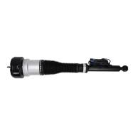 179980061-PCS-MS - AIR STRUTS