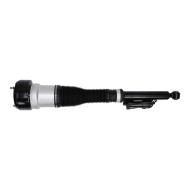179980061-PCS-MS - AIR STRUTS