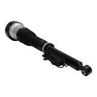 179980061-PCS-MS - AIR STRUTS