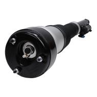 179980061-PCS-MS - AIR STRUTS