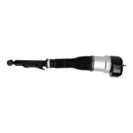 179980071-PCS-MS - AIR STRUTS
