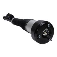 179980071-PCS-MS - AIR STRUTS