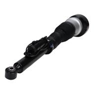179980071-PCS-MS - AIR STRUTS