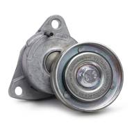 N35009-PCS-MS - TENSIONER PULLEY