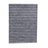 2620/1-IF-PCS-MS - CABIN FILTER - ACTIVE CARBON