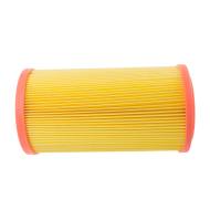 1286/1-LF-PCS-MS - AIR FILTER