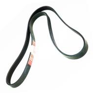 6PK1630-PCS-MS - MULTI-RIB BELT