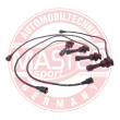 1610-ZW-LPG-SET-MS - Ignition Cable Kit