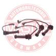 1612-ZW-LPG-SET-MS - Ignition Cable Kit