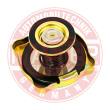 2105-1304010-PR-PCS-MS - Sealing Cap, radiator