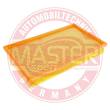 2552/2-LF-PCS-MS - AIR FILTER