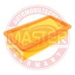 2571/1-LF-PCS-MS - AIR FILTER
