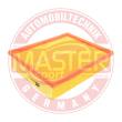 26168-LF-PCS-MS - AIR FILTER