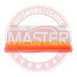 2667/1-LF-PCS-MS - AIR FILTER
