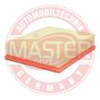 29198-LF-PCS-MS - AIR FILTER