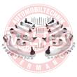 36790-SET-MS - Link Set, wheel suspension