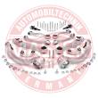 36790-SET-MS - Link Set, wheel suspension