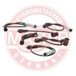 580-ZW-LPG-SET-MS - Ignition Cable Kit