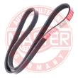 5PK1015-PCS-MS - V-Ribbed Belts