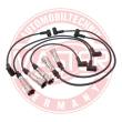612-ZW-LPG-SET-MS - Ignition Cable Kit